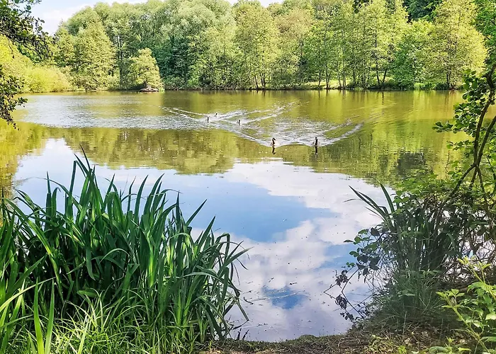 Haensel & Gretel Im Kellerwald By Interhome